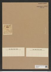 Hemiaulus minutus Grev. (de-Toni-Nr.: Genus 117, Species 3389) Zeichnungen Sammlung Grunow Nr. 6808 (NHMW-BOT-W0375651)